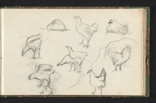 Acht kippen en een haan by Jan Bedijs Tom, drawing, 1823-1894