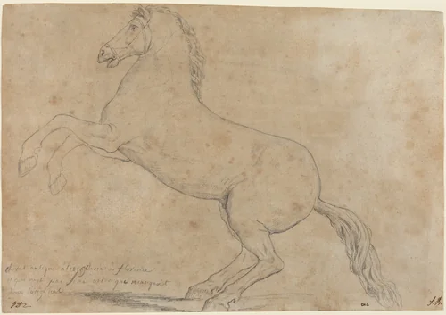 An Antique Sculpture of a Horse by Jacques-Louis David, drawing, 1780