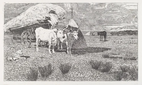 Oxen Yoked to a Cart (Maremma) (Bovi al carro (Maremma)) by Giovanni Fattori, print, 1886-1887