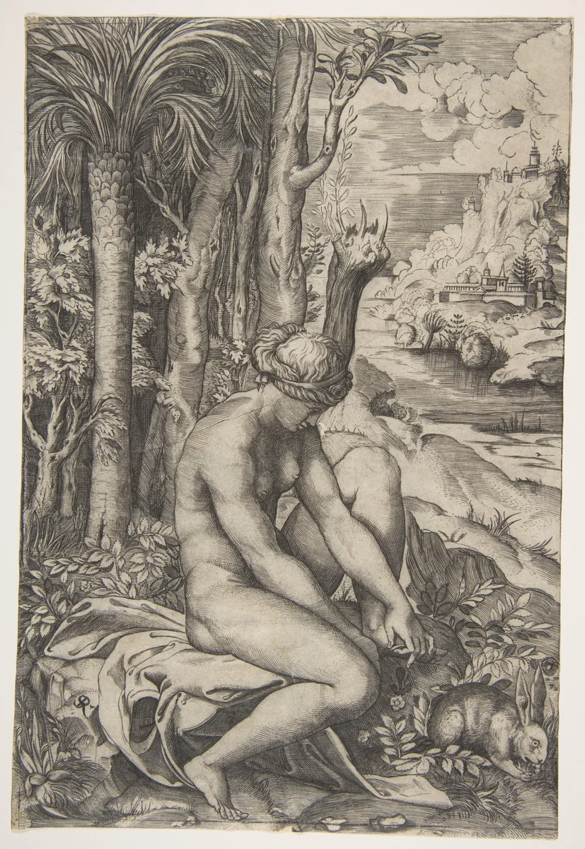 Venus removing a thorn from her left foot while seated beside trees and foliage, a hare eating grass before her by Marco Dente, print, 1510-1532