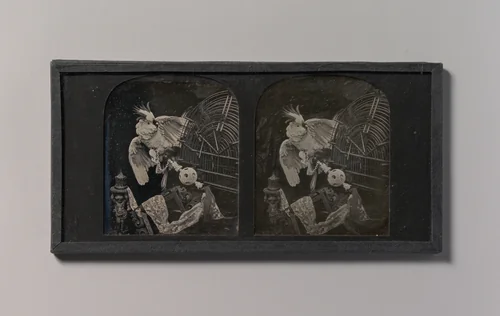 [Still-Life with Cockatoo, Ornamental Ball, Lace, Statuette] by T. R. Williams, photograph, 1850-1859