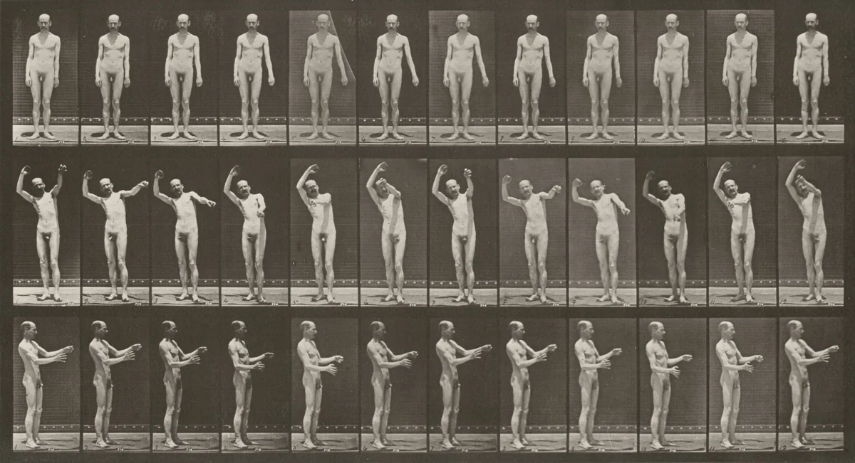 Plate Number 557. Local chorea, standing by Eadweard Muybridge, photograph, 1887