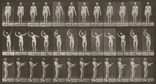 Plate Number 557. Local chorea, standing by Eadweard Muybridge, photograph, 1887