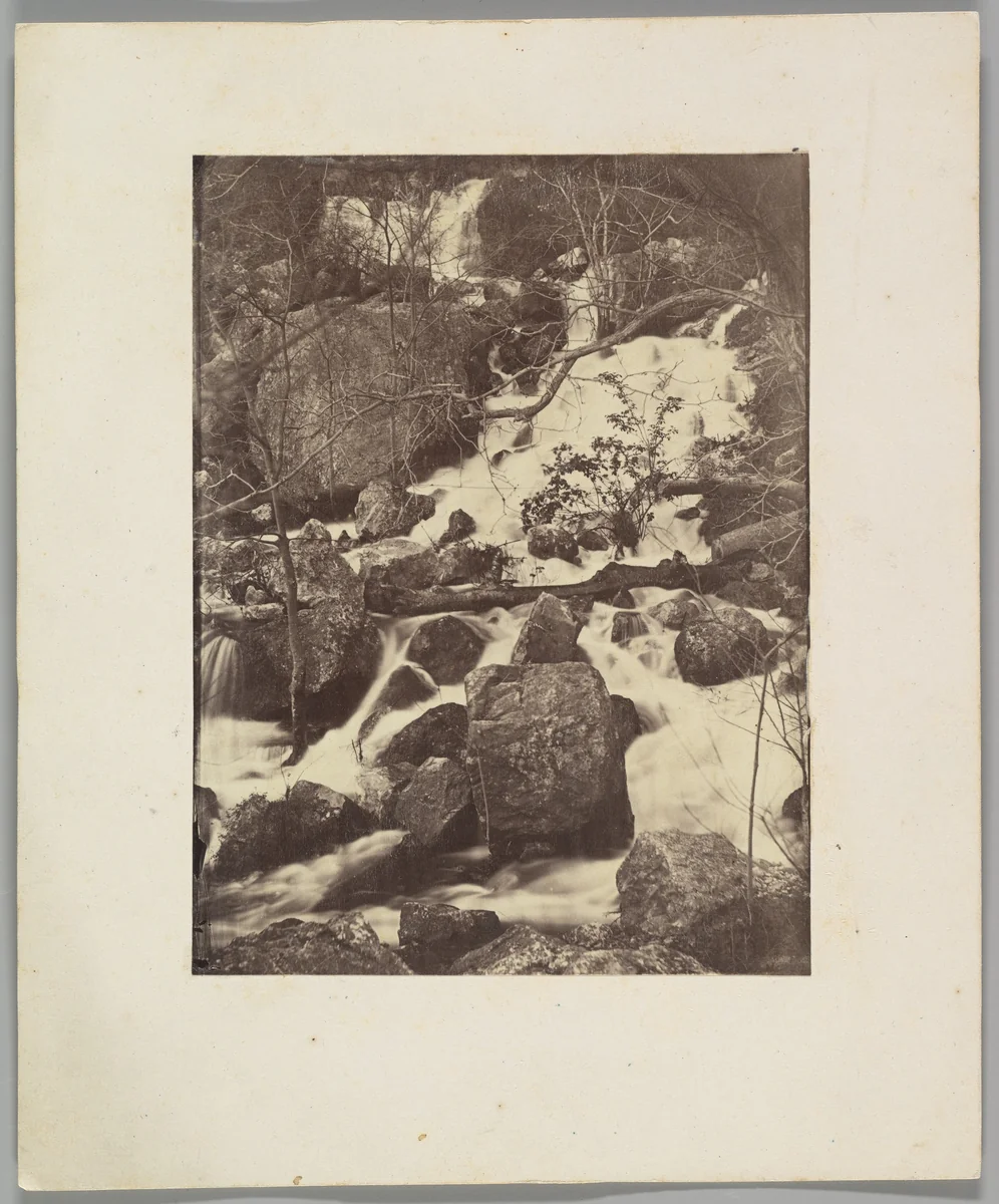 [Trees and Waterfalls] by Charles Nègre, photograph, 1860-1865