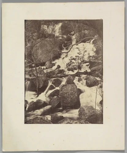 [Trees and Waterfalls] by Charles Nègre, photograph, 1860-1865