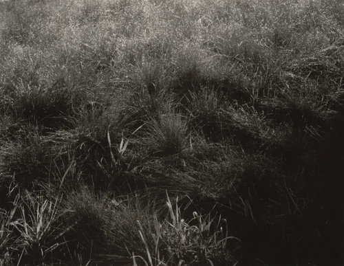 Lake George by Alfred Stieglitz, photograph, 1933