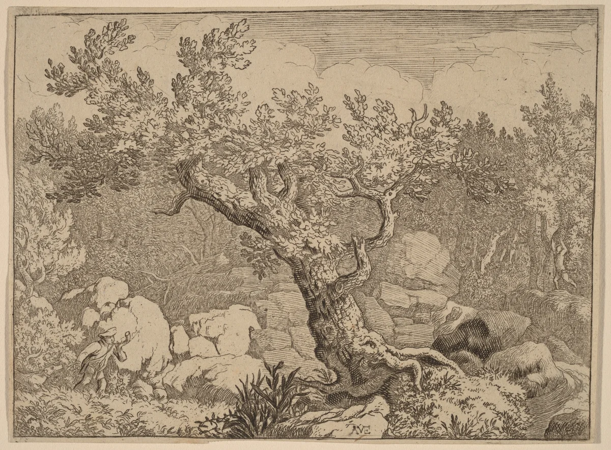 Sportsman near a Large Tree by Allart van Everdingen, print, 1645-1656