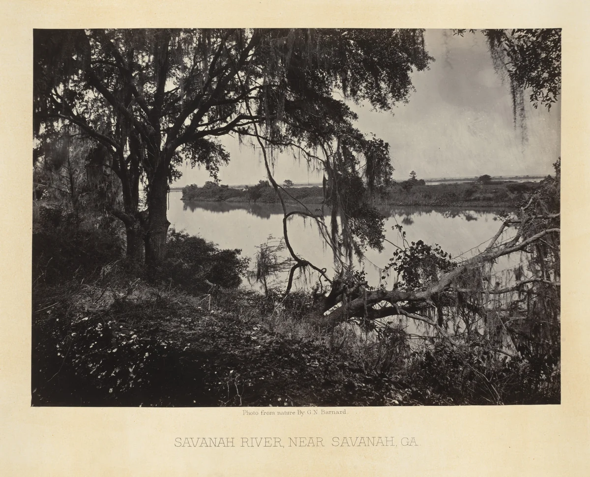 Savannah River, near the City from the album Photographic Views of Sherman's Campaign by George N. Barnard, photograph, 1864