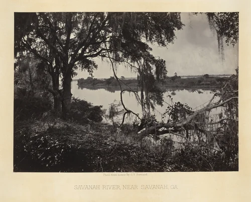 Savannah River, near the City from the album Photographic Views of Sherman's Campaign by George N. Barnard, photograph, 1864