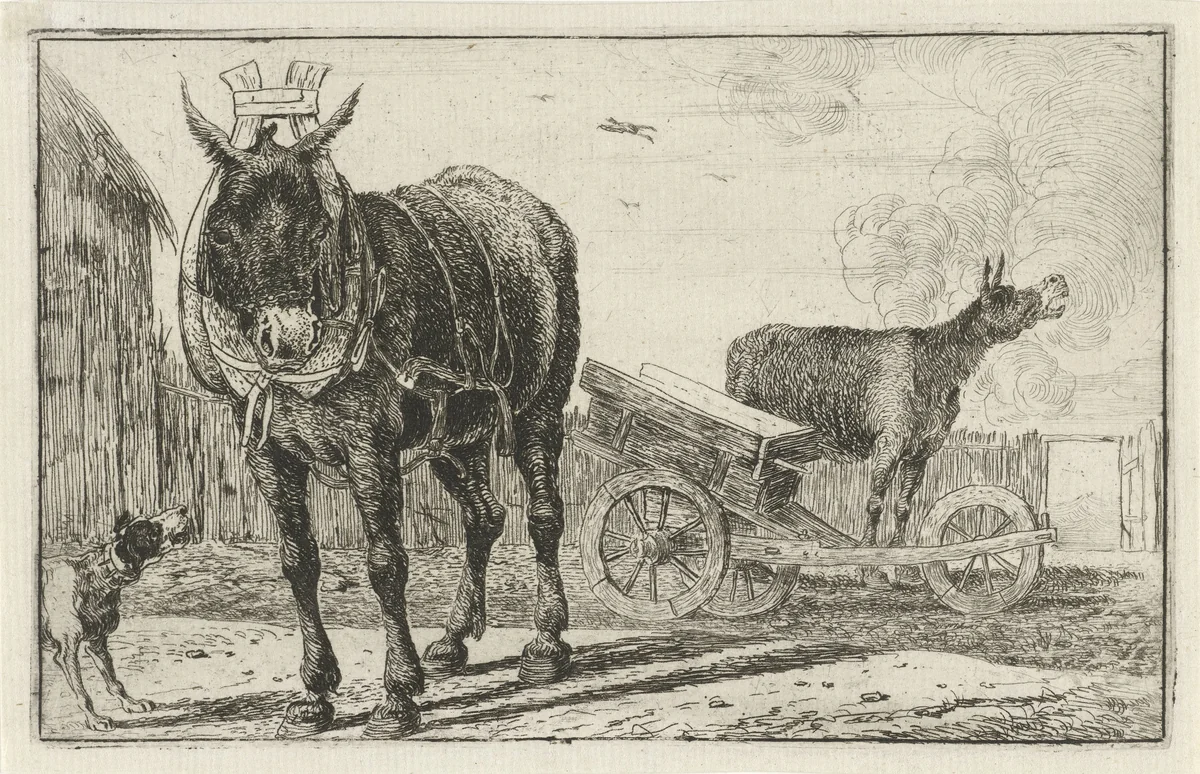 Twee ezels by Jan van den Hecke, print, 1656