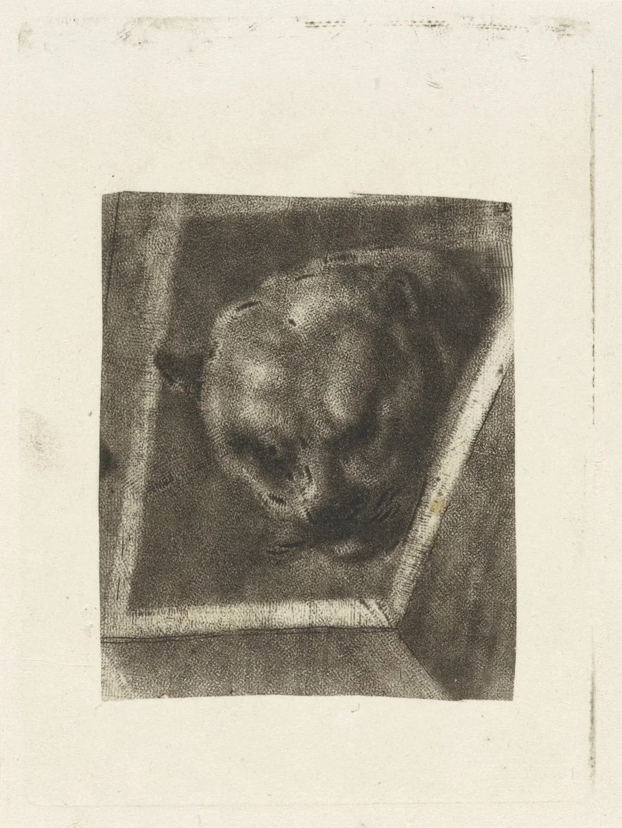 Kop van een panter by Dirk van der Toorn, print, 1788-1811