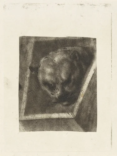 Kop van een panter by Dirk van der Toorn, print, 1788-1811