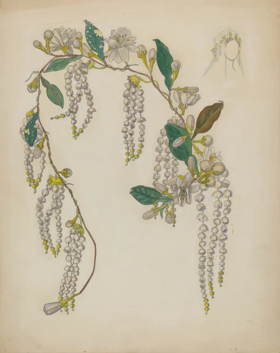 Bridal Wreath by Verna Tallman, index of american design, 1935-1942