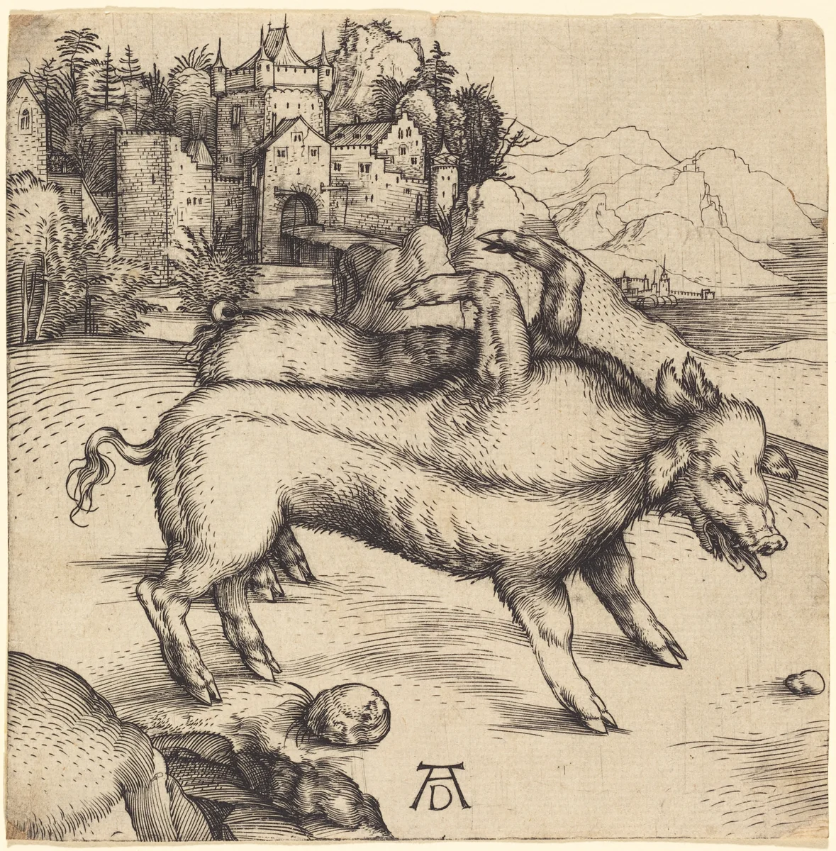 The Monstrous Pig of Landser by Albrecht Dürer, print, 1496
