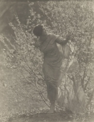 Untitled by Clarence H. White, photograph, 1917