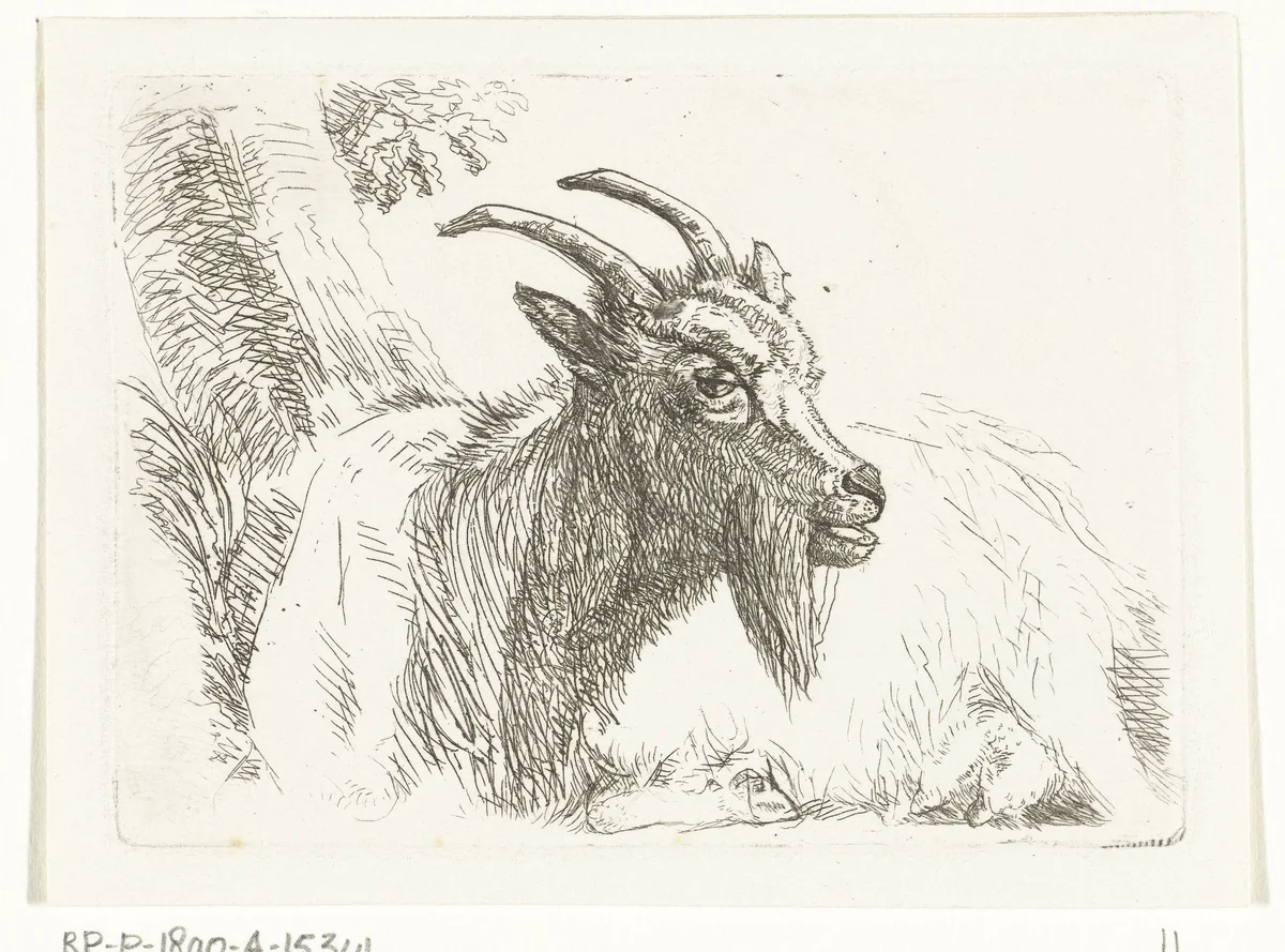 Liggende geit by Jan Dasveldt, print, 1780-1855
