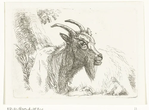 Liggende geit by Jan Dasveldt, print, 1780-1855
