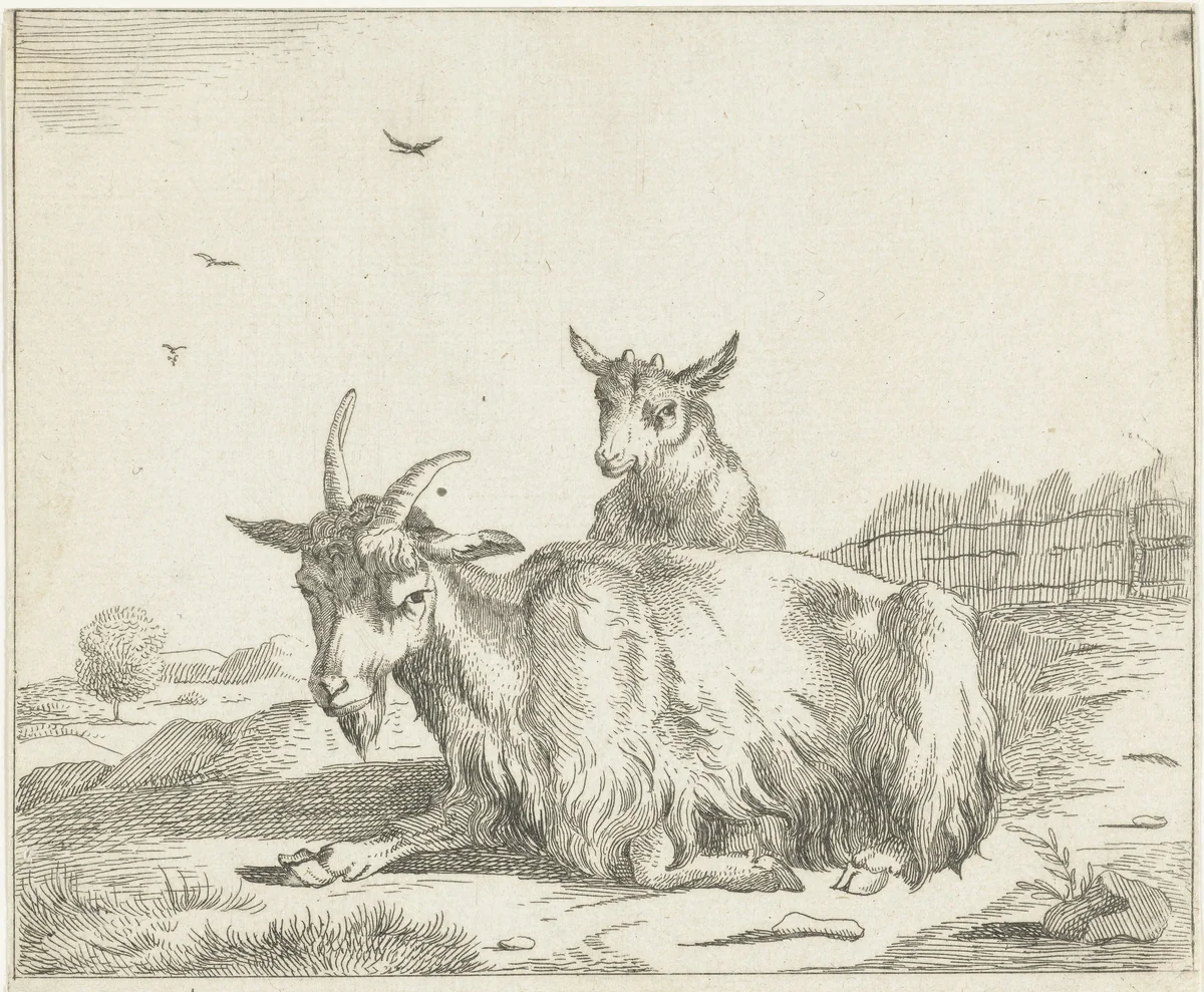 Liggende geit met lam by anonymous, print, 1657-1811