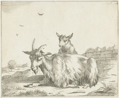 Liggende geit met lam by anonymous, print, 1657-1811