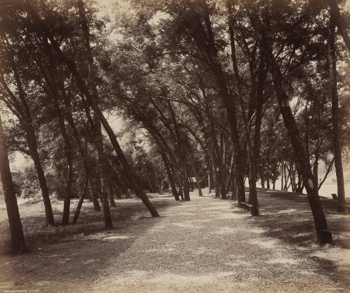 Picnic Grounds by William H. Rau, photograph, 1890-1900
