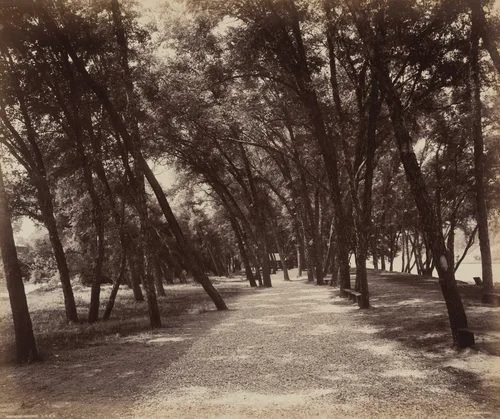Picnic Grounds by William H. Rau, photograph, 1890-1900