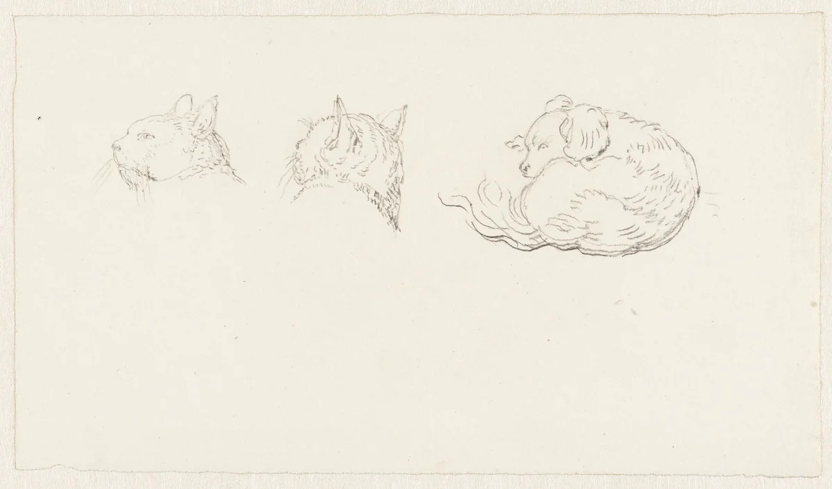 Twee schetsen van de kop van een kat en een liggende hond by Pieter Bartholomeusz. Barbiers, drawing, 1782-1837