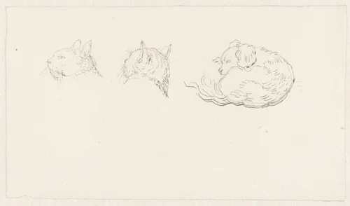 Twee schetsen van de kop van een kat en een liggende hond by Pieter Bartholomeusz. Barbiers, drawing, 1782-1837