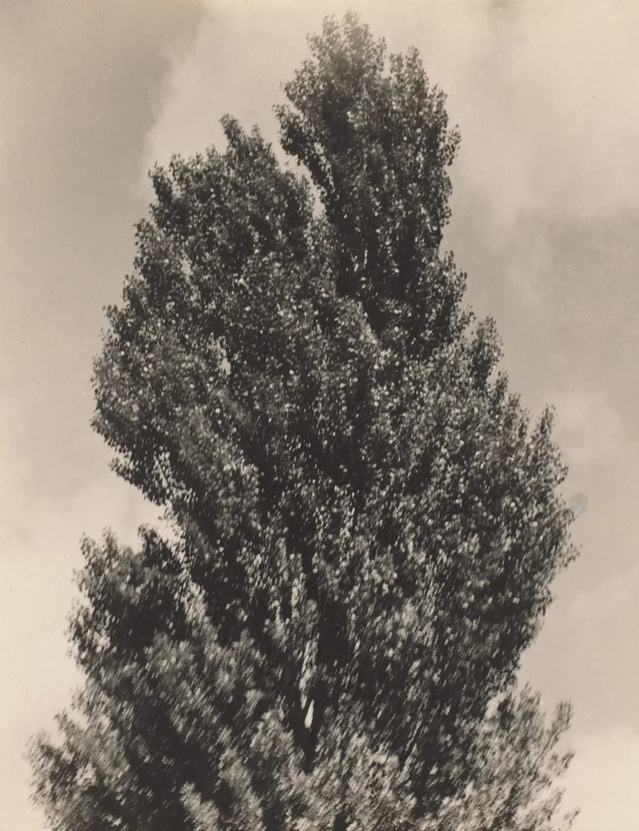 Equivalent by Alfred Stieglitz, photograph, 1925-1927