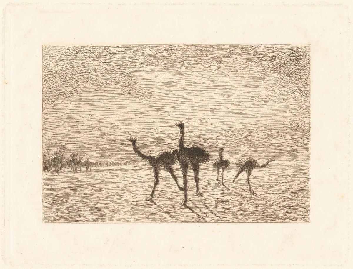 Ostriches in the Desert by François-Nicolas Auguste Feyen-Perrin, print, 1872