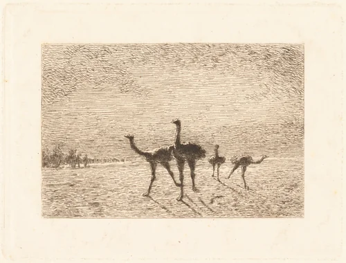 Ostriches in the Desert by François-Nicolas Auguste Feyen-Perrin, print, 1872