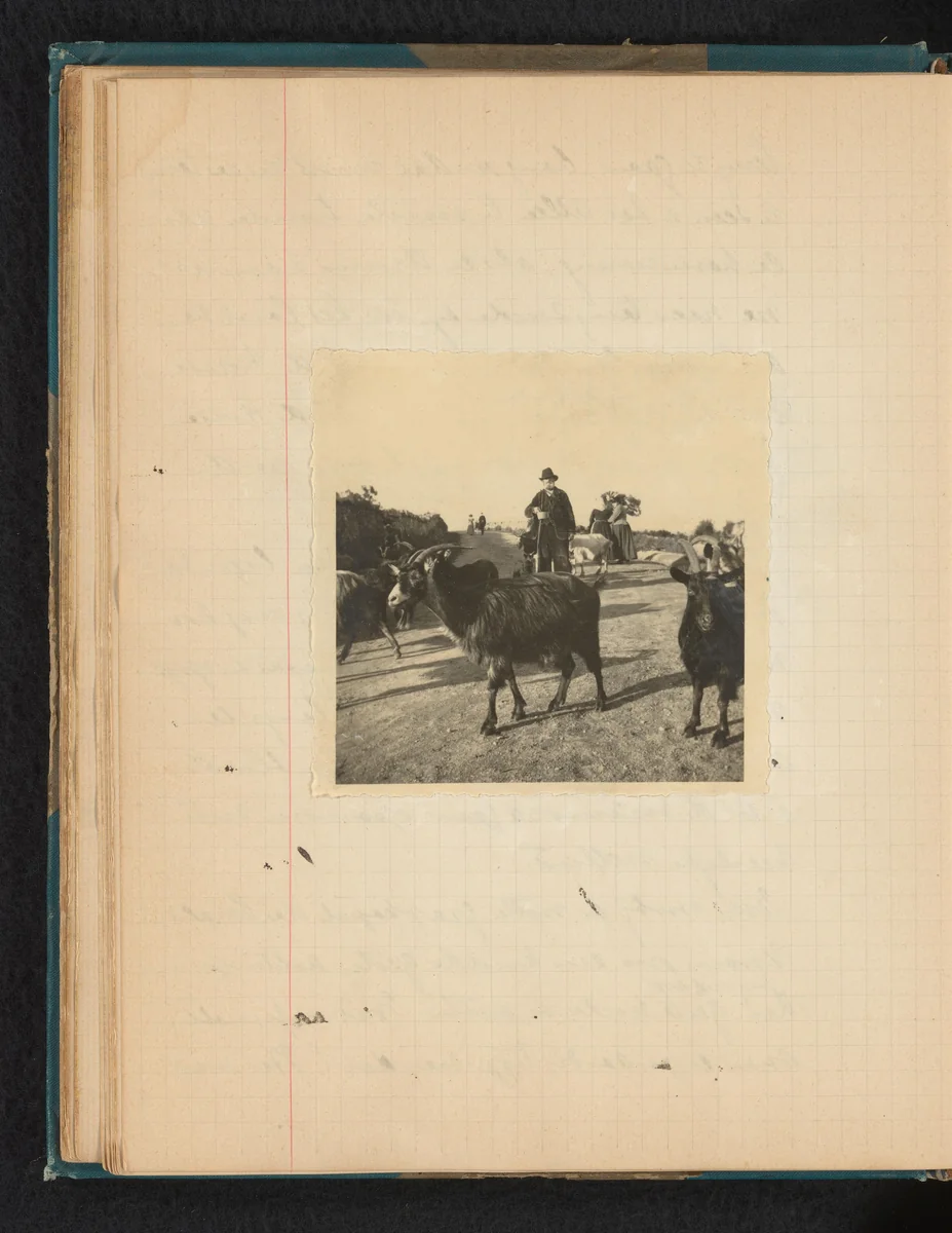 Geiten met daarachter een herder in pak by Théodore van Lelyveld, book, 1902-1904