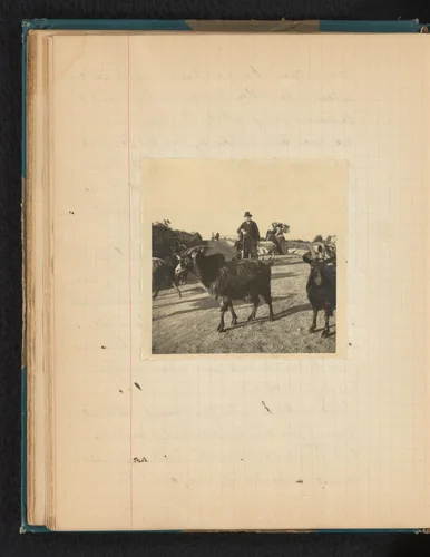 Geiten met daarachter een herder in pak by Théodore van Lelyveld, book, 1902-1904