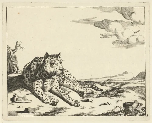 Liggend luipaard, van voren gezien, de poten naar rechts by Marcus de Bye, print, 1657-1677