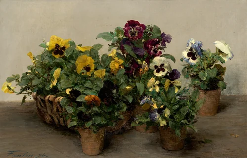 Pansies by Henri Fantin-Latour, painting, 1874