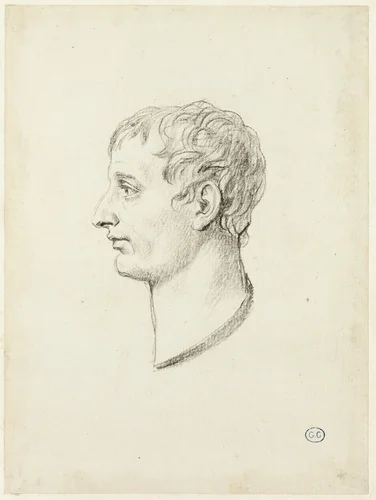 Profile of Napoleon by Jacques-Louis David, drawing, 1805-1815