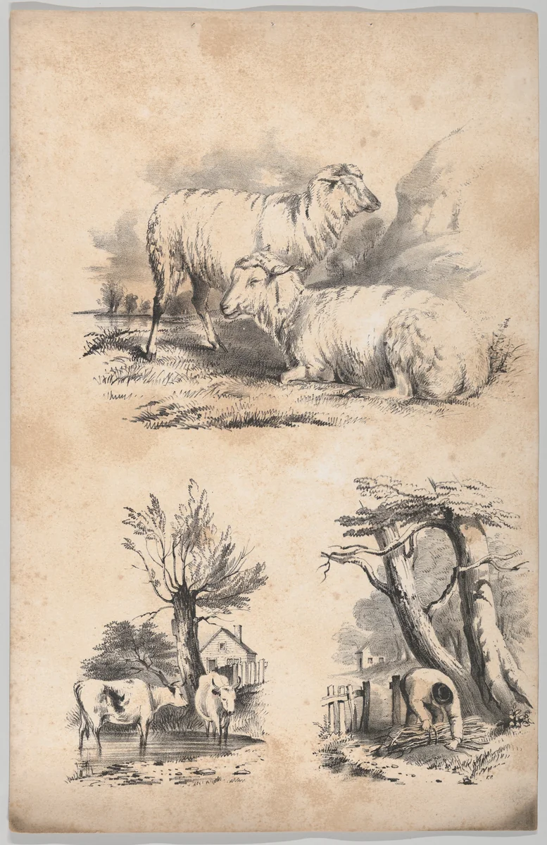 Vignette with two sheep, Vignette with two cows in a pool, and Vignette of a wood-gatherer, in: The New York Drawing Book, Containing a Series of Original Designs and Sketches of American Scenery, No. 2 by Frances Flora Bond Palmer, book, 1847