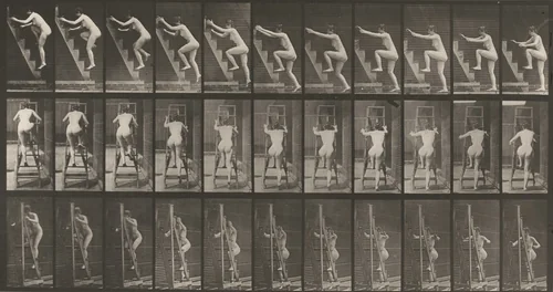 Plate Number 110. Ascending a stepladder two steps at a time by Eadweard Muybridge, photograph, 1887