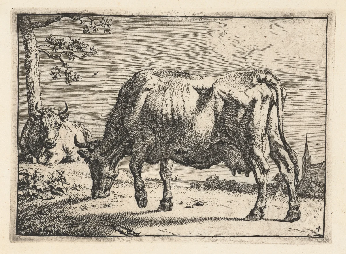 Grazende koe by Paulus Potter, print, 1650
