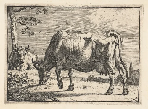 Grazende koe by Paulus Potter, print, 1650