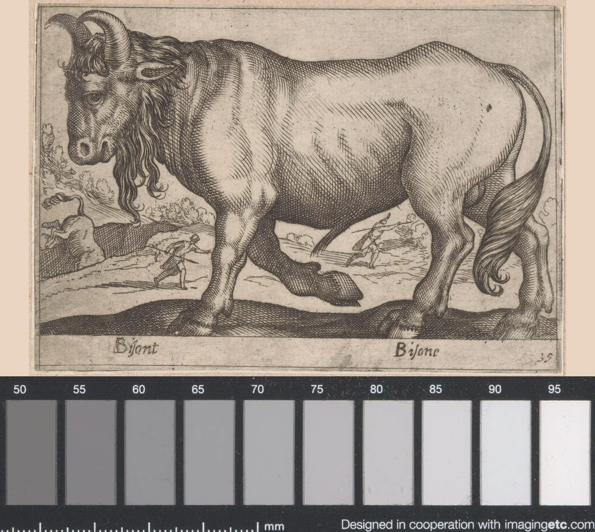 Bizon by Antonio Tempesta, print, 1565-1630