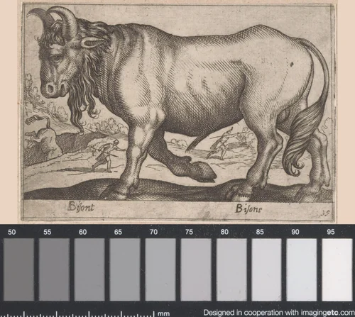 Bizon by Antonio Tempesta, print, 1565-1630