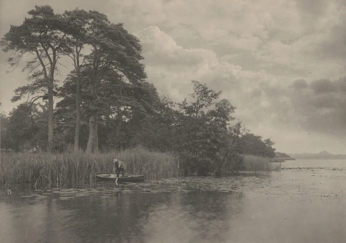 The Haunt of the Pike by Peter Henry Emerson, photograph, 1887