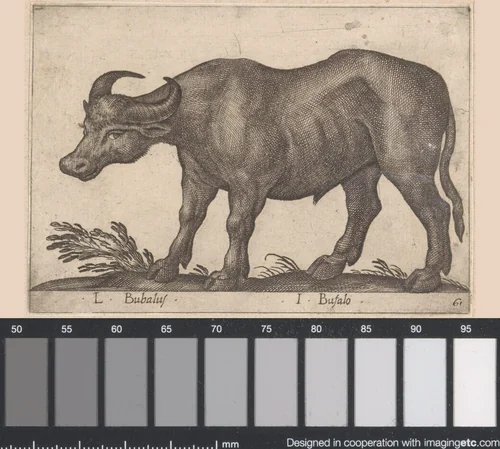 Buffel by Antonio Tempesta, print, 1565-1630