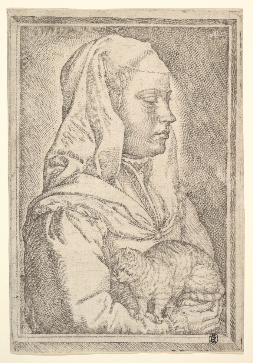 Girl with a Cat by Jan Cornelisz Vermeyen, print, 1546