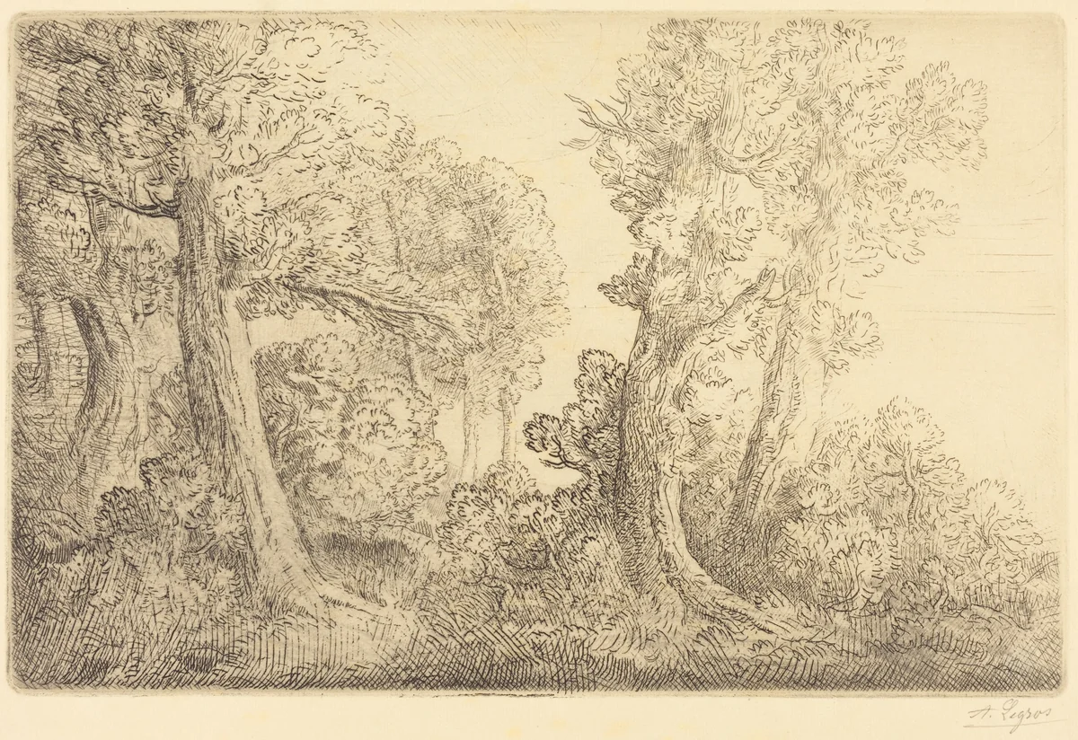 Near the Woods, Veronne (Pres du bois, Veronne) by Alphonse Legros, print, 1837-1911