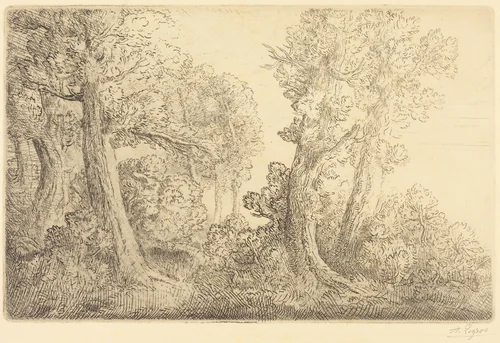 Near the Woods, Veronne (Pres du bois, Veronne) by Alphonse Legros, print, 1837-1911