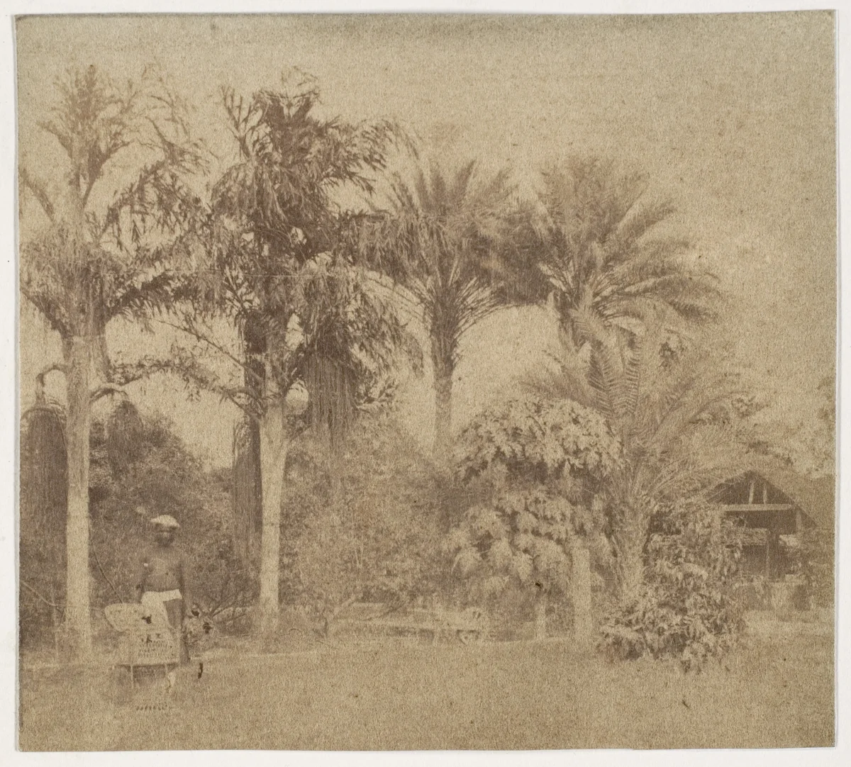 [Gardens, Government House, Allahabad] by John Constantine Stanley, photograph, 1858