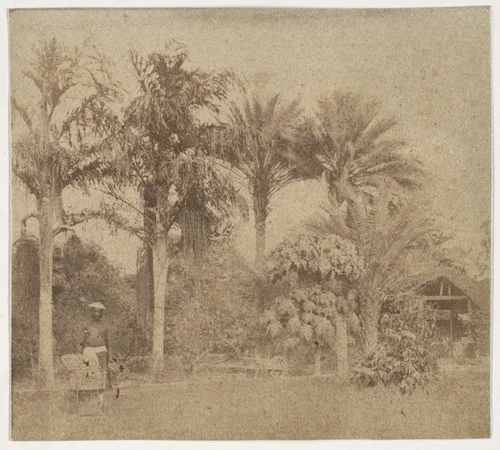 [Gardens, Government House, Allahabad] by John Constantine Stanley, photograph, 1858