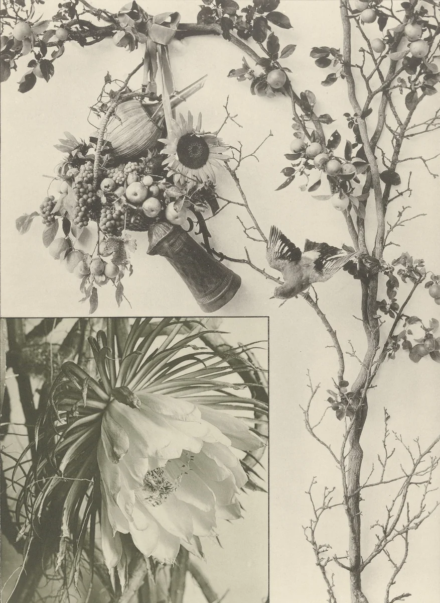 Page from Festons und Dekorative Gruppen by Unidentified Photographer, photograph, 1893