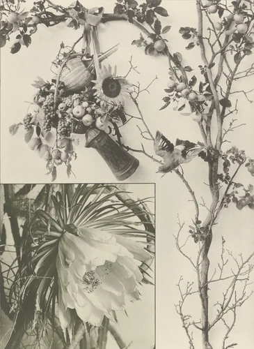 Page from Festons und Dekorative Gruppen by Unidentified Photographer, photograph, 1893